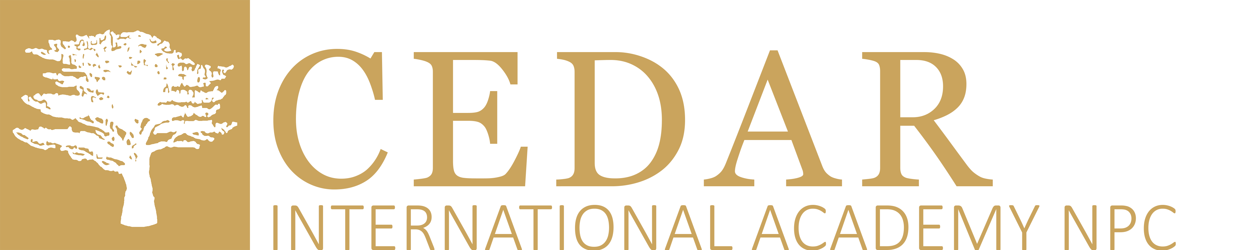 Cedar International Academy