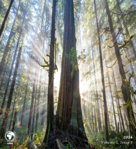 International Journal of Cedar, Volume 1, Issue 1 (2024)